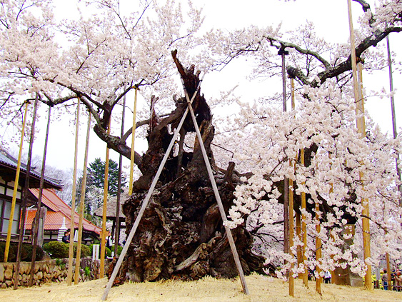[pic060412_0.jpg]