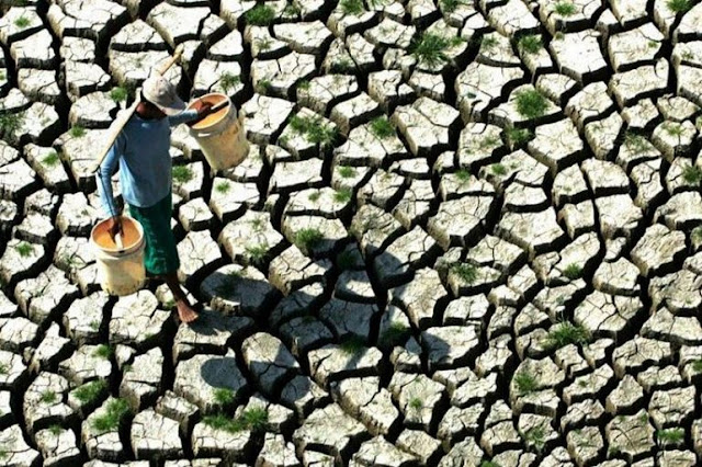 
Νερό: το Α και το Ω της ζωής
