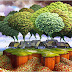 World Forest Day - Ημέρα Δάσους