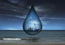 ΣΧΕΣΕΙΣ ΑΥΓΟΥΣΤΟΥ; - Σεβασμός στη ζωή