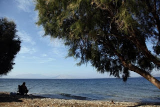 
2,5 τόνοι χασίς βρέθηκαν σε παραλία

