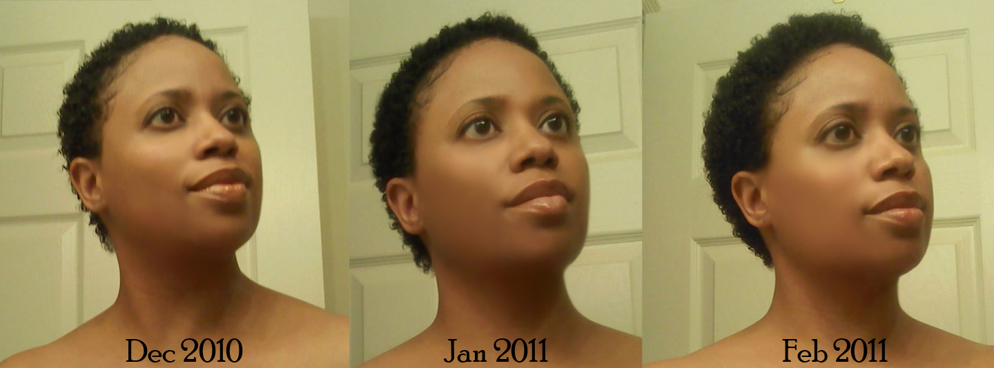 Sheila's Naptural Hair Journey Monthly Hair Growth Pictures