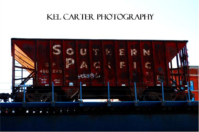 Kel Carter Photography