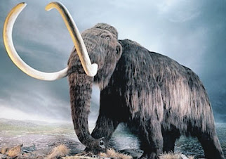 Saintis guna DNA hidupkan gajah purba