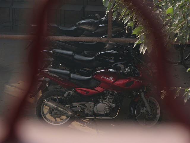 [IMG_5207.JPG]