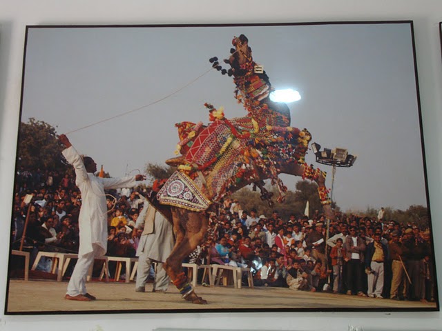 [DSC04709.JPG]