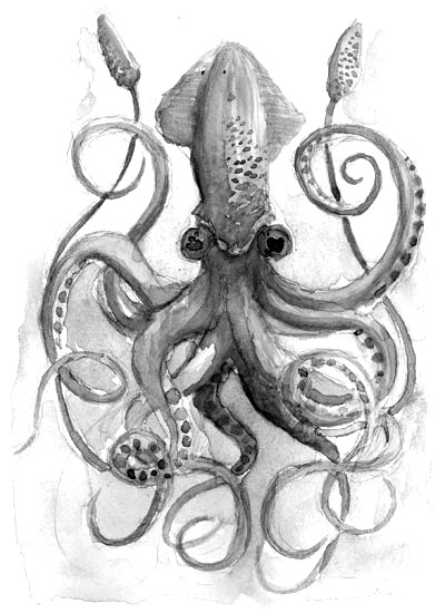 [giant-squid.jpg]