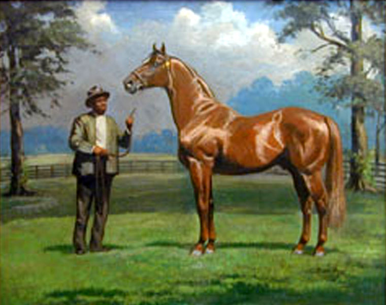 All About Horses Man 'O' War