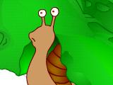 [the-snail[1].jpg]