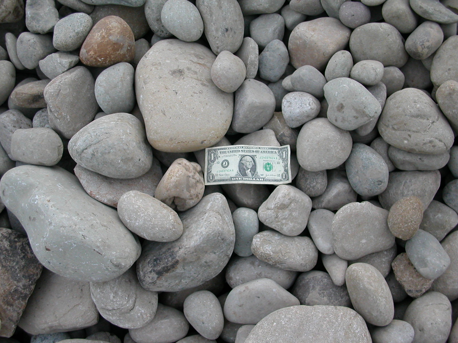 [2-6%20white%20gravel[1].jpg]