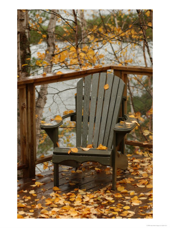 [847294~Autumn-Leaves-on-Chair-by-Lake-Ontario-Canada-Posters.jpg]