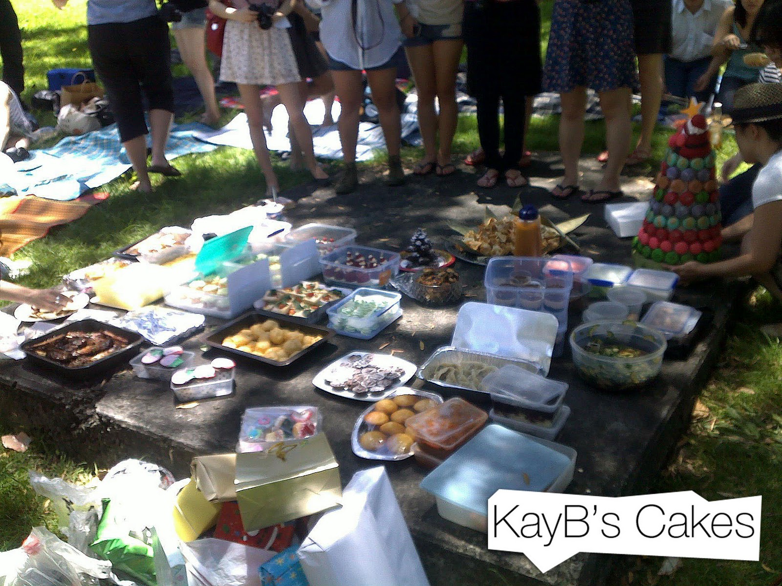 KayB's Cakes Sydney Food Bloggers Christmas Picnic and Christmas