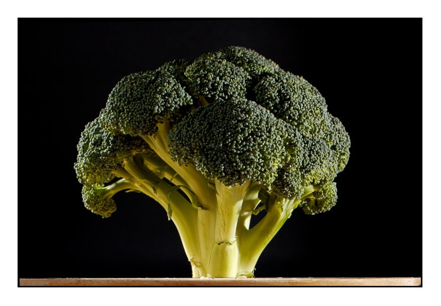 [045+broccoli.jpg]