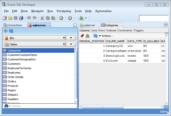 SQL Server and Sybase Browsing
