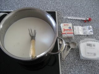 Making Mozzarella
