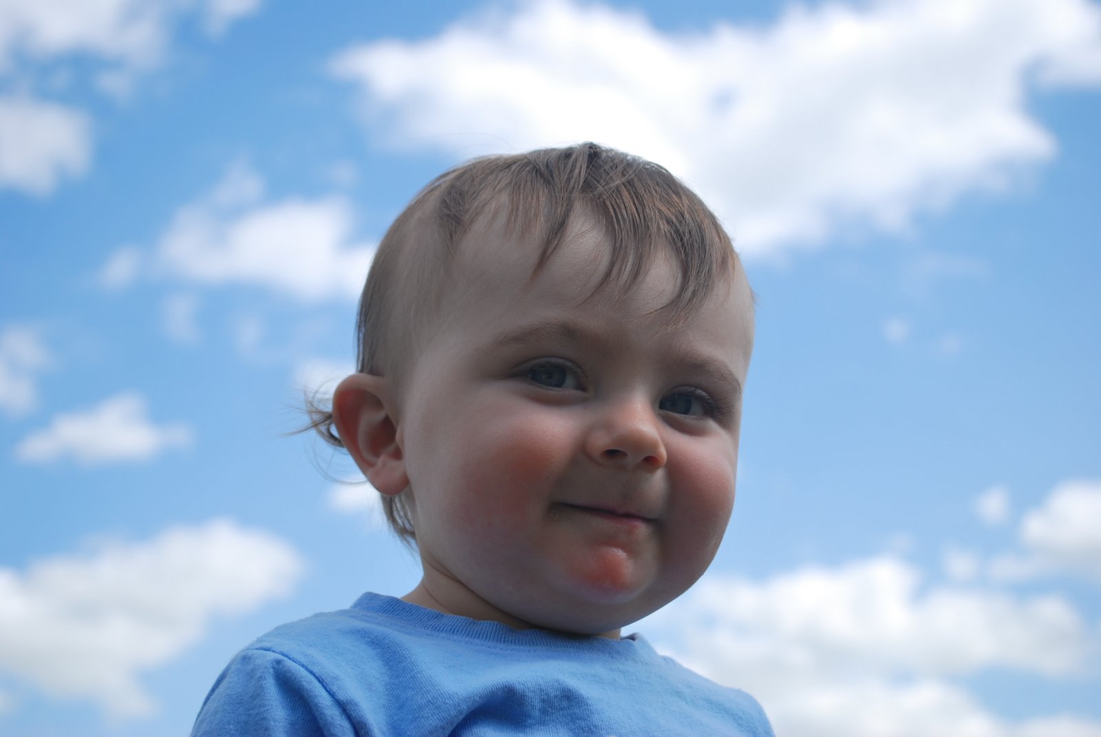 [DSC_0025.JPG]