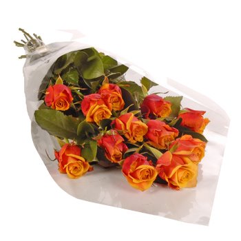 [2198-twelve_orange_roses_gift_wrap.jpg]