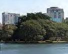 [Ibirapuera+Park.jpg]