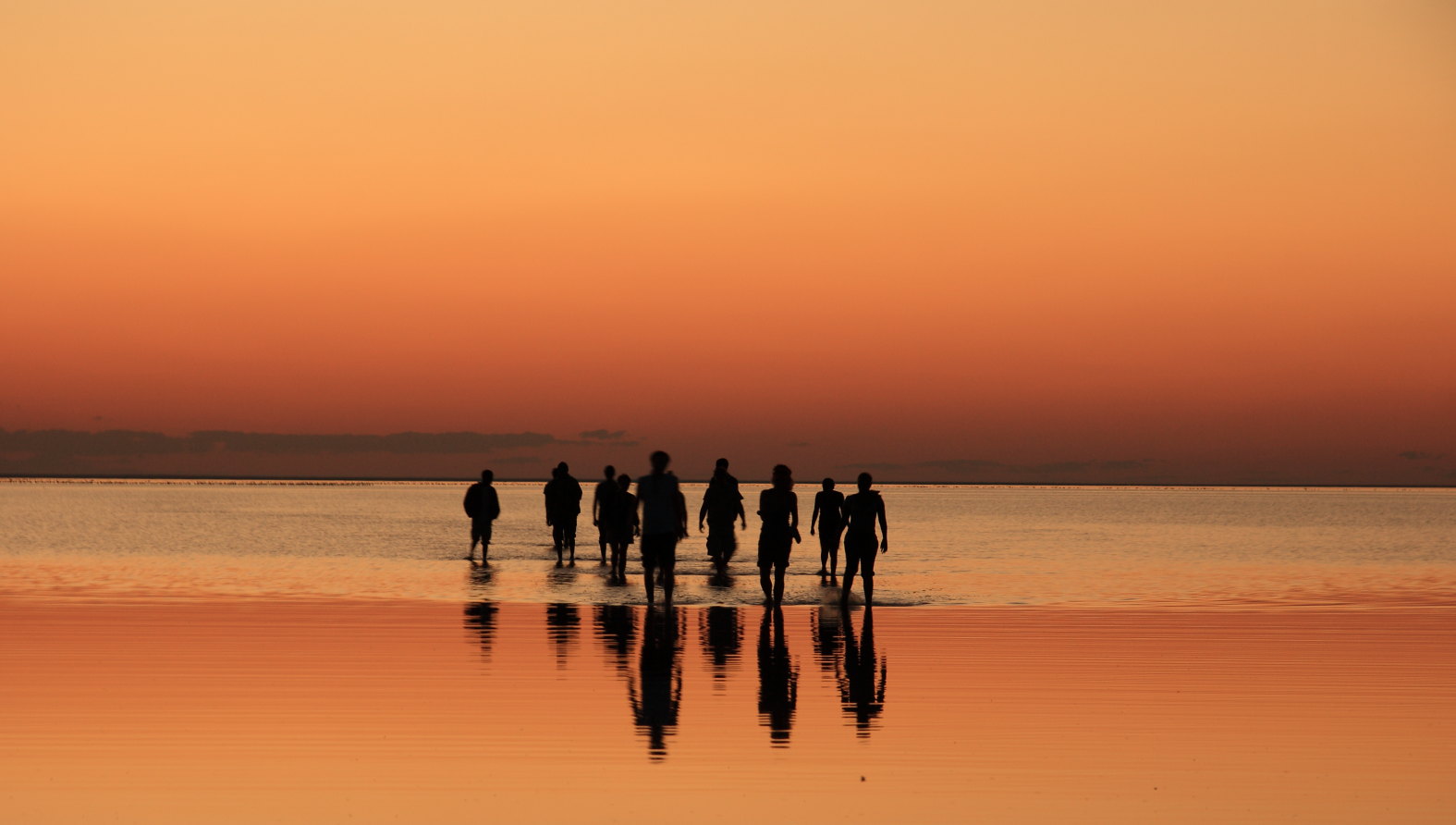 BirdLife Botswana First catch your flamingo!