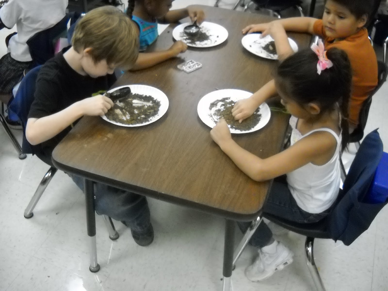 LEARNING ABOUT SOIL KINDERGARTEN visual data 8