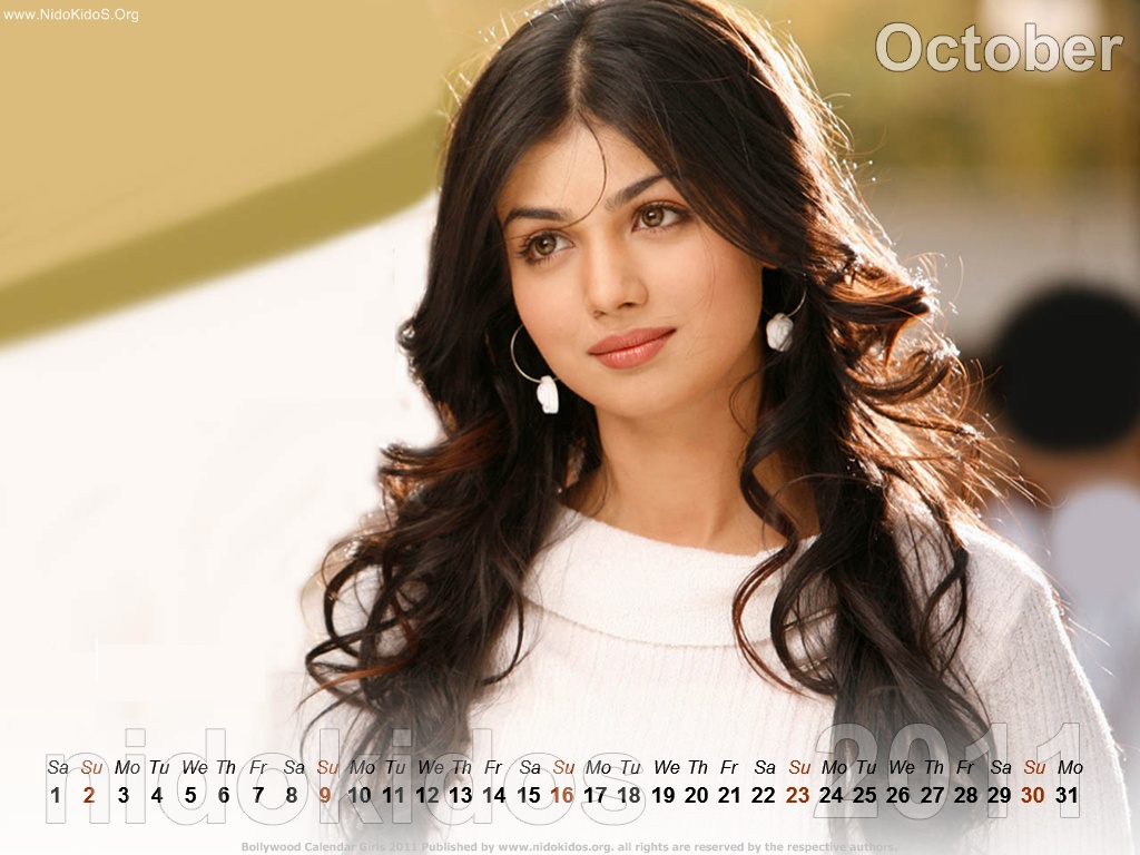 Bollywood Actress Desktop Calendar 2011, Bollywood Actress Calender