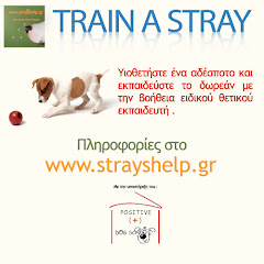 StraysHelp.gr