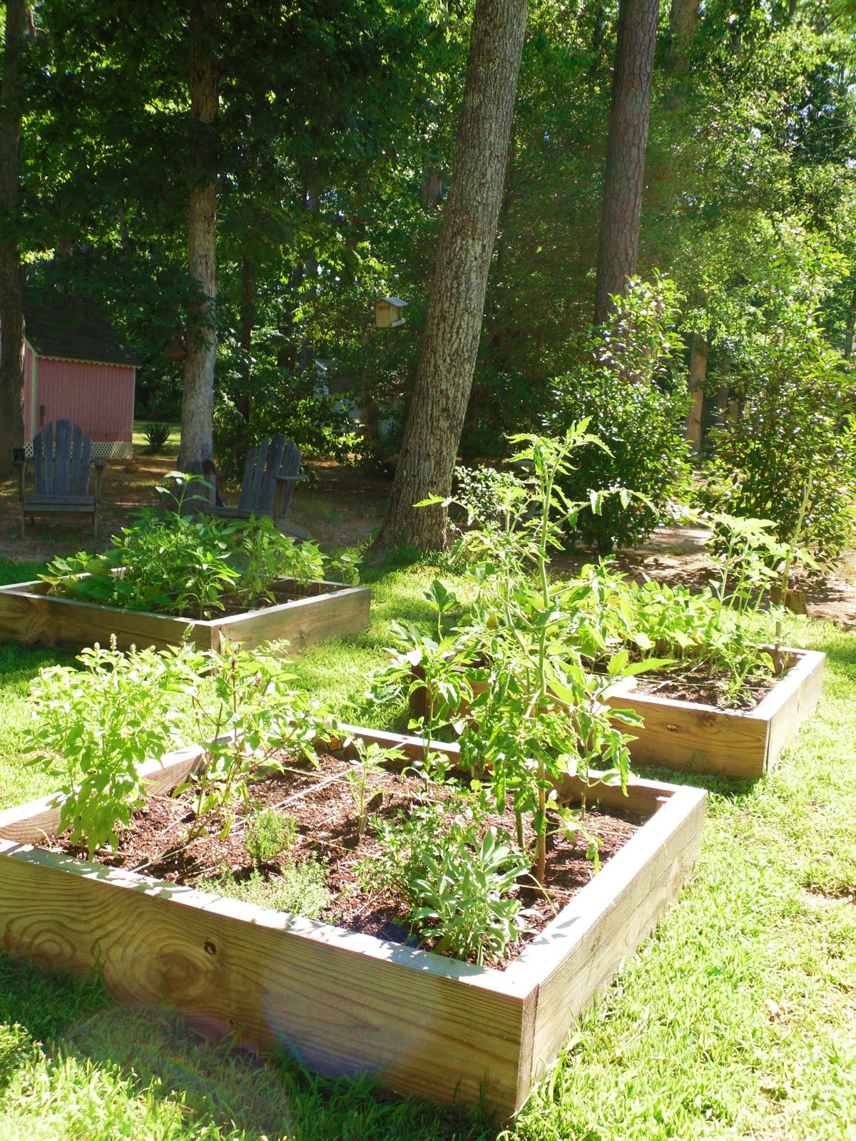 Sunshine Daydream: Easy Garden Craft