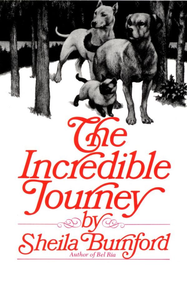 old incredible journey book