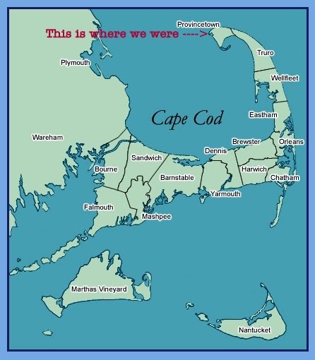 [map+of+the+cape.jpg]