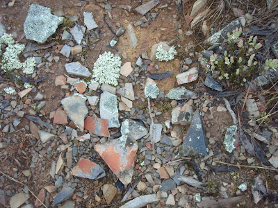 patch of ground with pretty coloured rocks