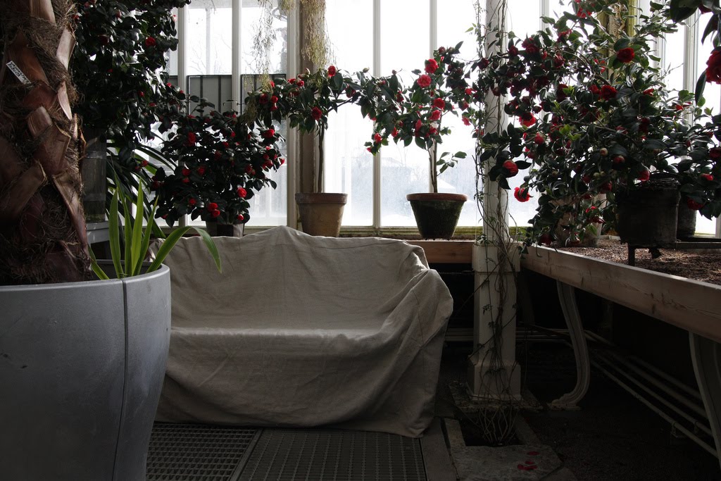 [funderagront133.jpg]