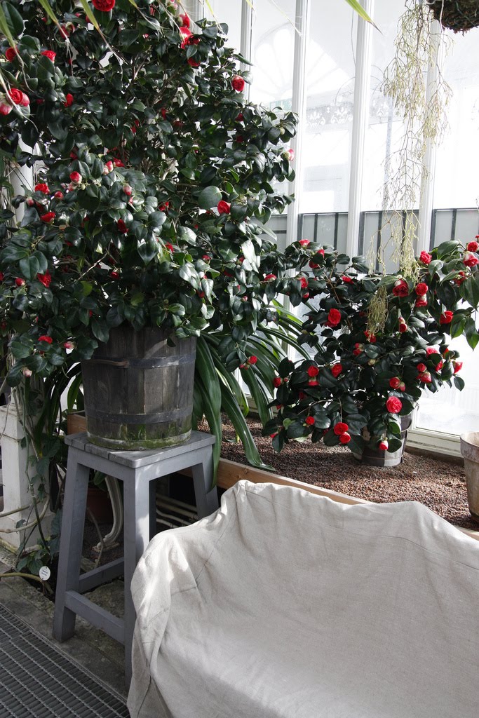 [funderagront132.jpg]