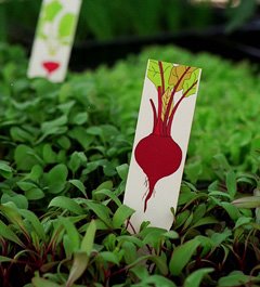 [annika+sandstedt.jpg]