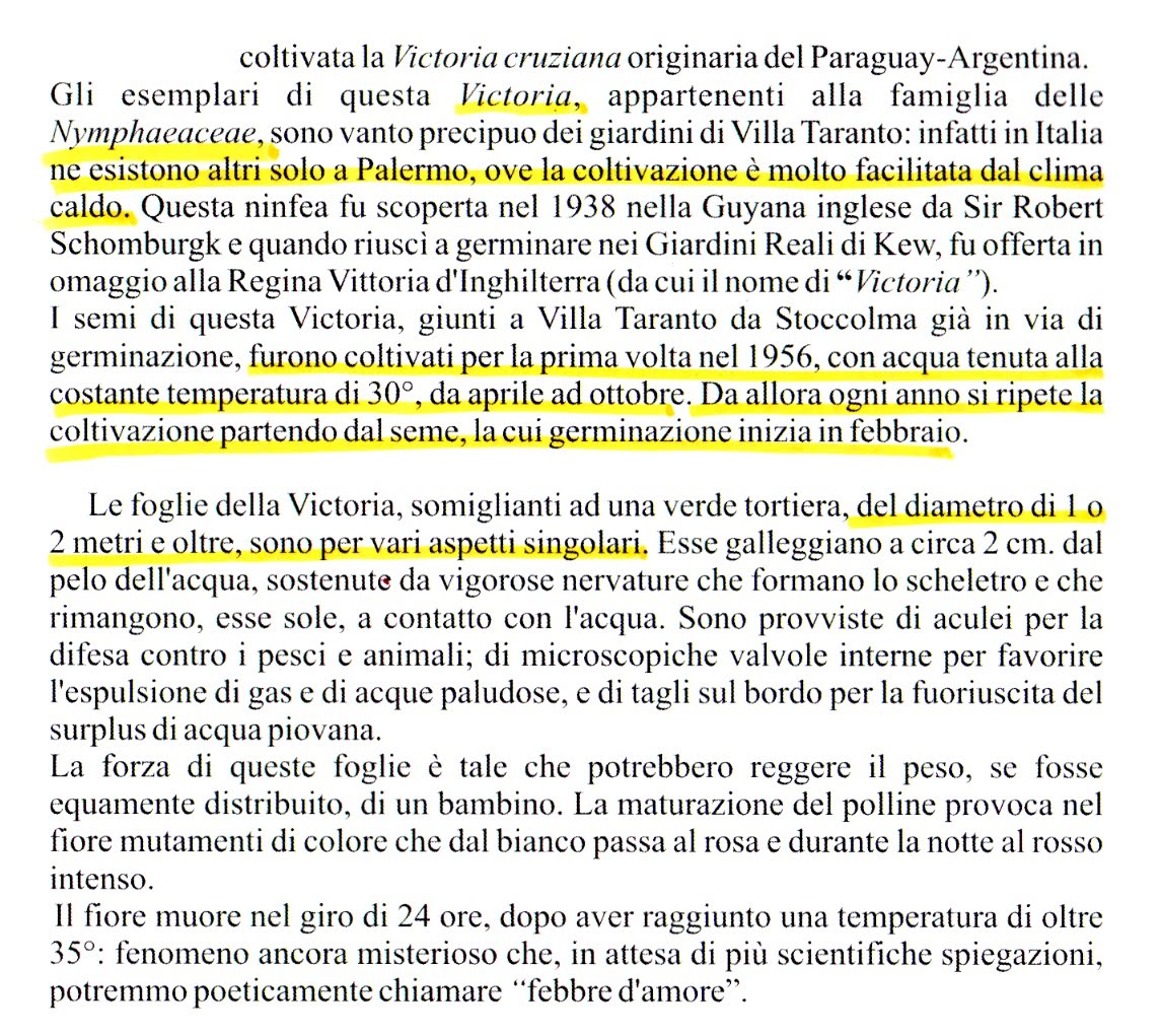 [VICTORIA+AMAZONICA+note.jpg]