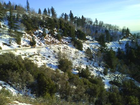 Enero 28, 2010   Big Bear - Mi primer Viaje a USA (1)