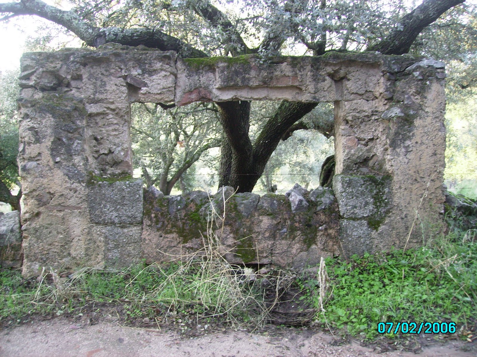 ACASANVI: ALBURQUERQUE