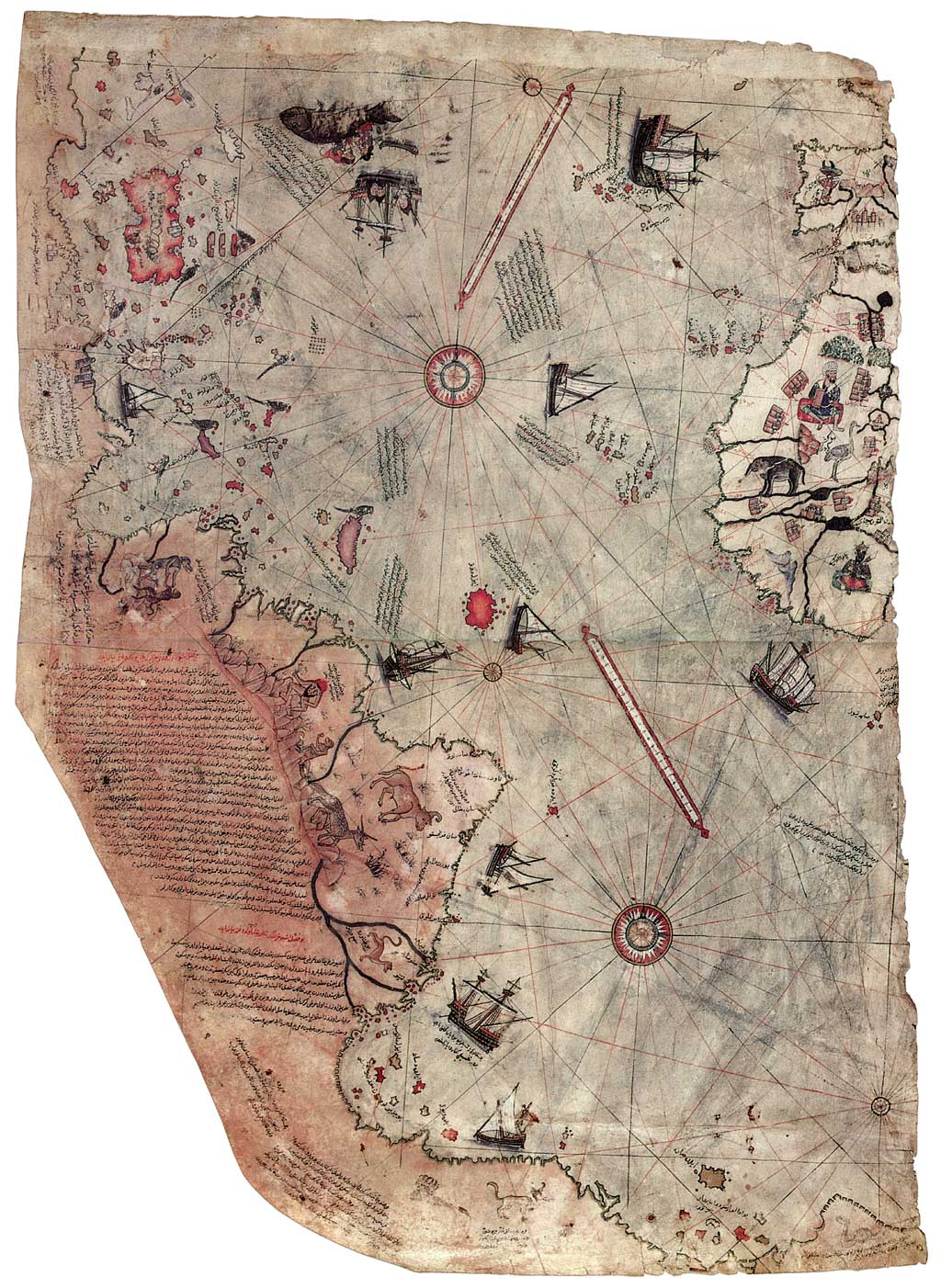 [Piri-Reis+map.jpg]