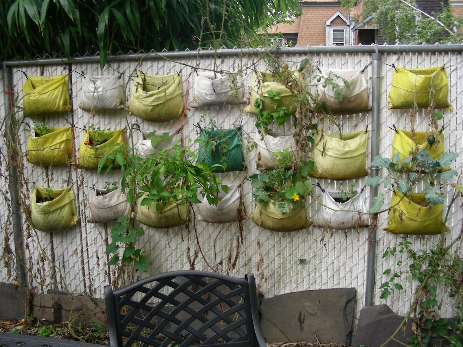 commmunity gardening: Vertical Gardening Update II