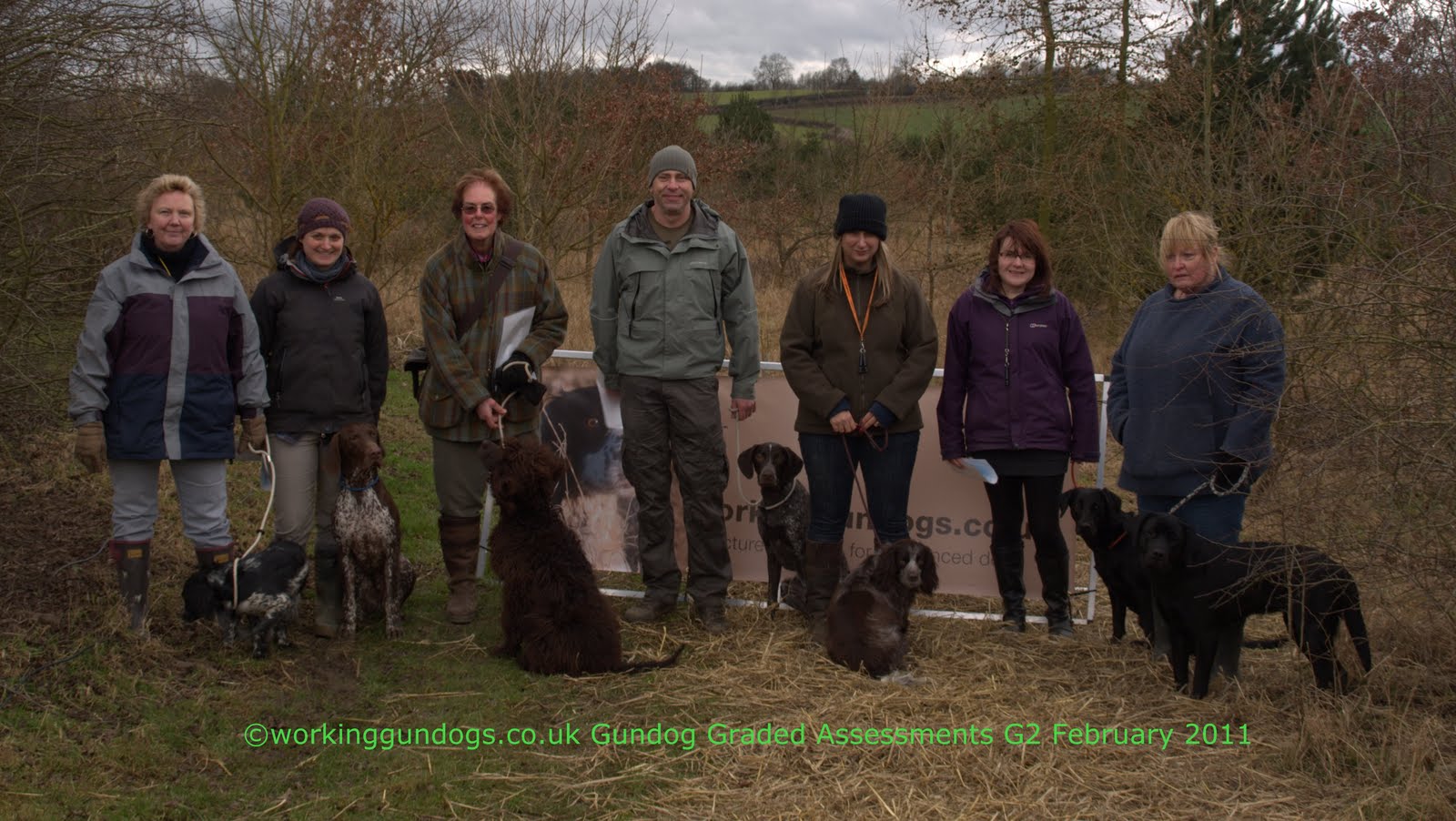 Working Gundogs Gundog Training Graded Assessments February 2011