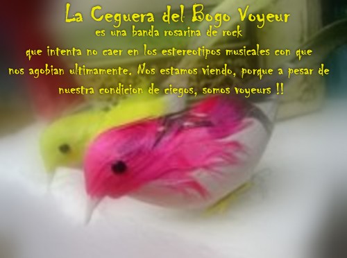 La Ceguera del Bogo Voyeur