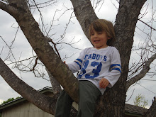 Parker climbing the tree