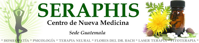 Centro Serafis
