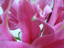 Verandah Framed Floral Art