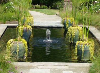 [Water-Garden-w-lysima-396x2.jpg]