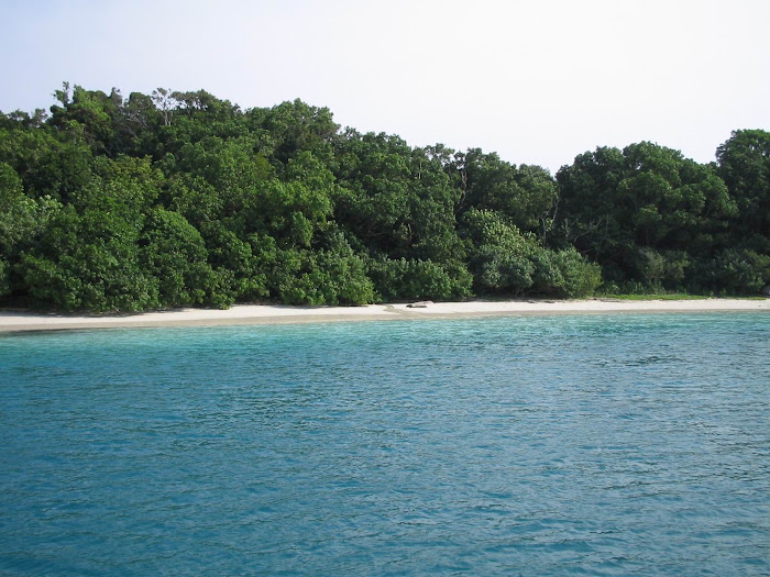 Pulau Peucang Beach