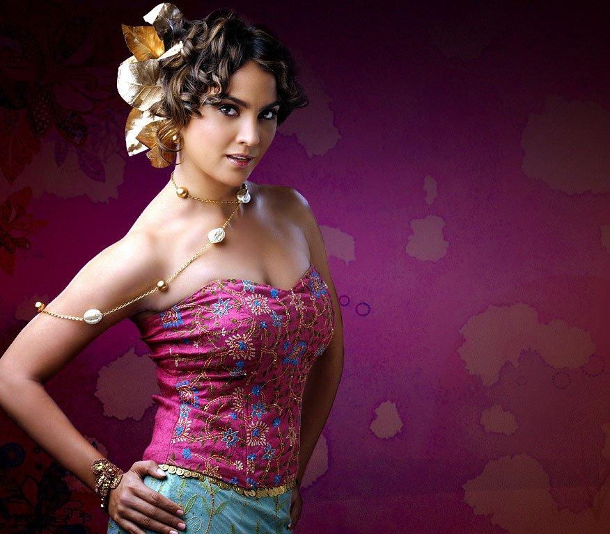 Hot Actres Pakistani: cute Lara Datta hot pictures wallpapers
