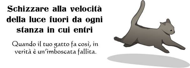 Il Mio Gatto Mi Morde Mentre Dormo