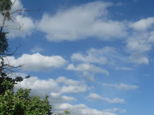 Cumulus Low Clouds