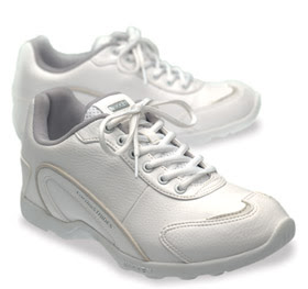 nikken cardio strides