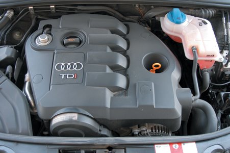 [karin_grultusu.jpg]